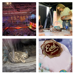 A collage of 4 images
1: A photo of a staduim full of people at a concert
2: A photo of someone teaching a pottery class
3: A photo of a snow leopard asleep at a zoo
4: A photo of a cake with a sign on the top that says 'Eid Mubarak'