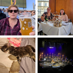 A collage of a woman holding a pint of beer, two ladies eating afternoon tea, a fluffy brown cat and a paino player on stage lit up 