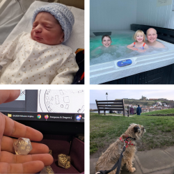 A collage of photos
1. A newborn baby
2. A photo of some people in a hot tub
3. A photo of someone holding a dice
4. A photo of a brown dog